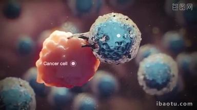 完整的细胞破坏癌细胞